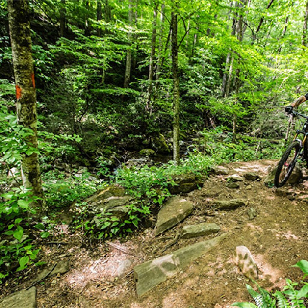 Amenities Avery Park