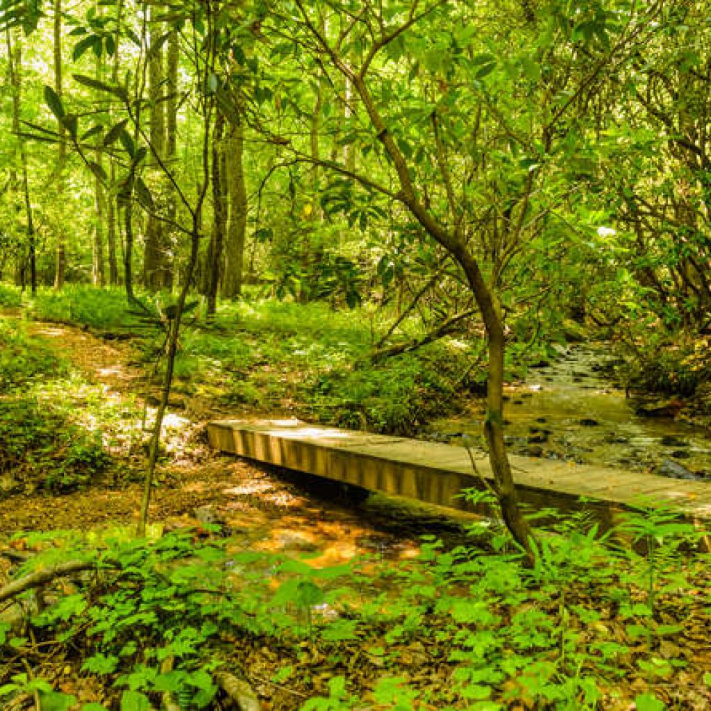 Amenities Avery Park