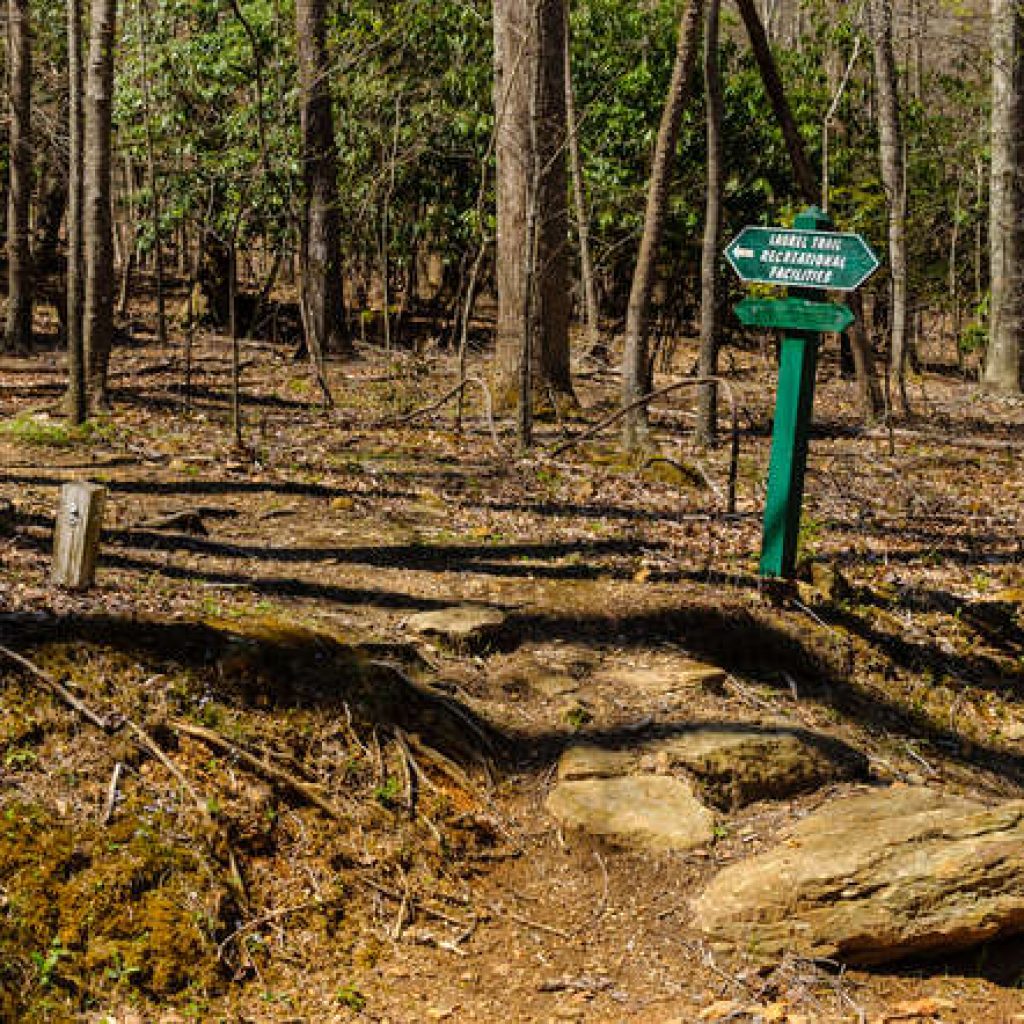 Amenities Avery Park