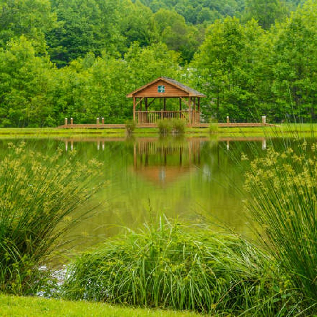 Amenities Avery Park