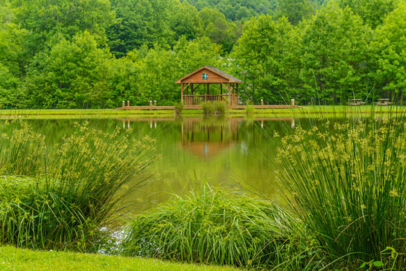 General Gallery Avery Park