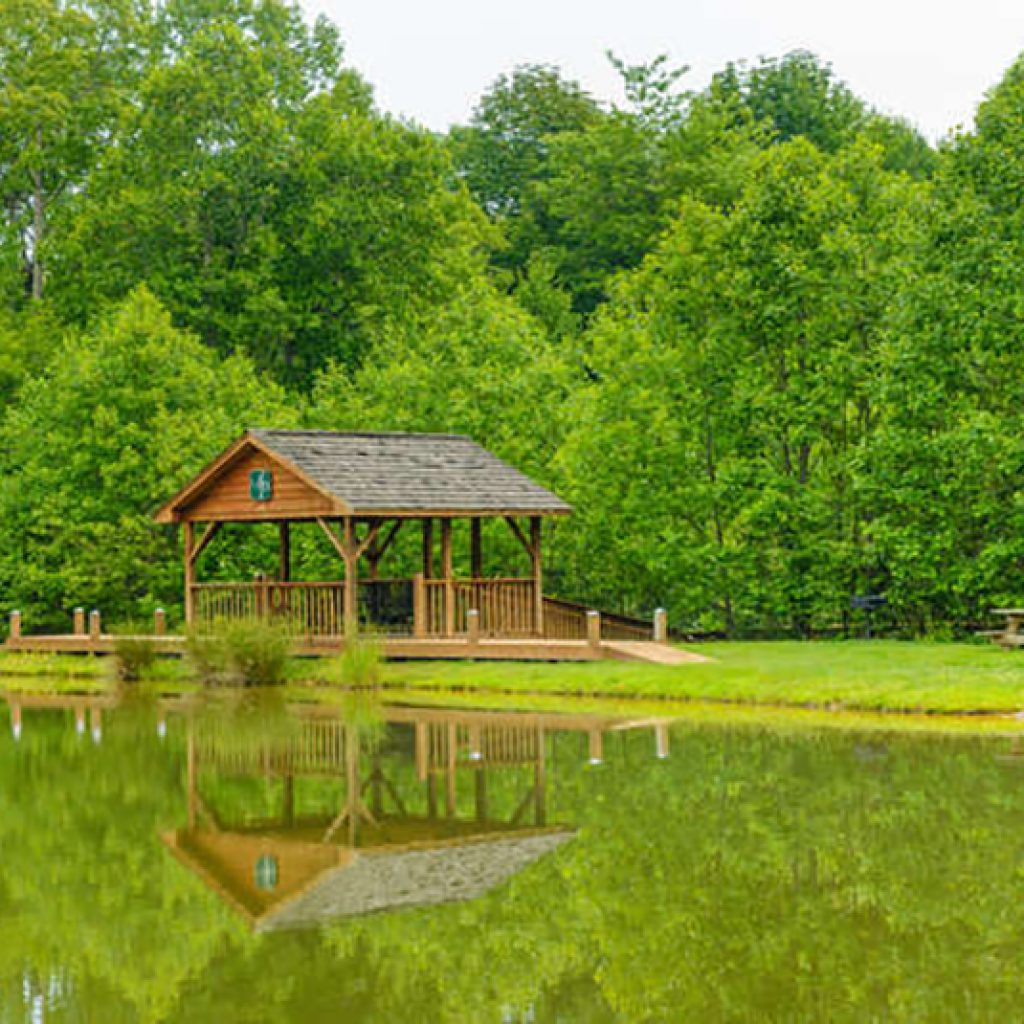 Amenities Avery Park